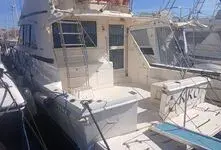 RIVIERA 39 SMY - 1996