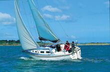 Westerley Griffon